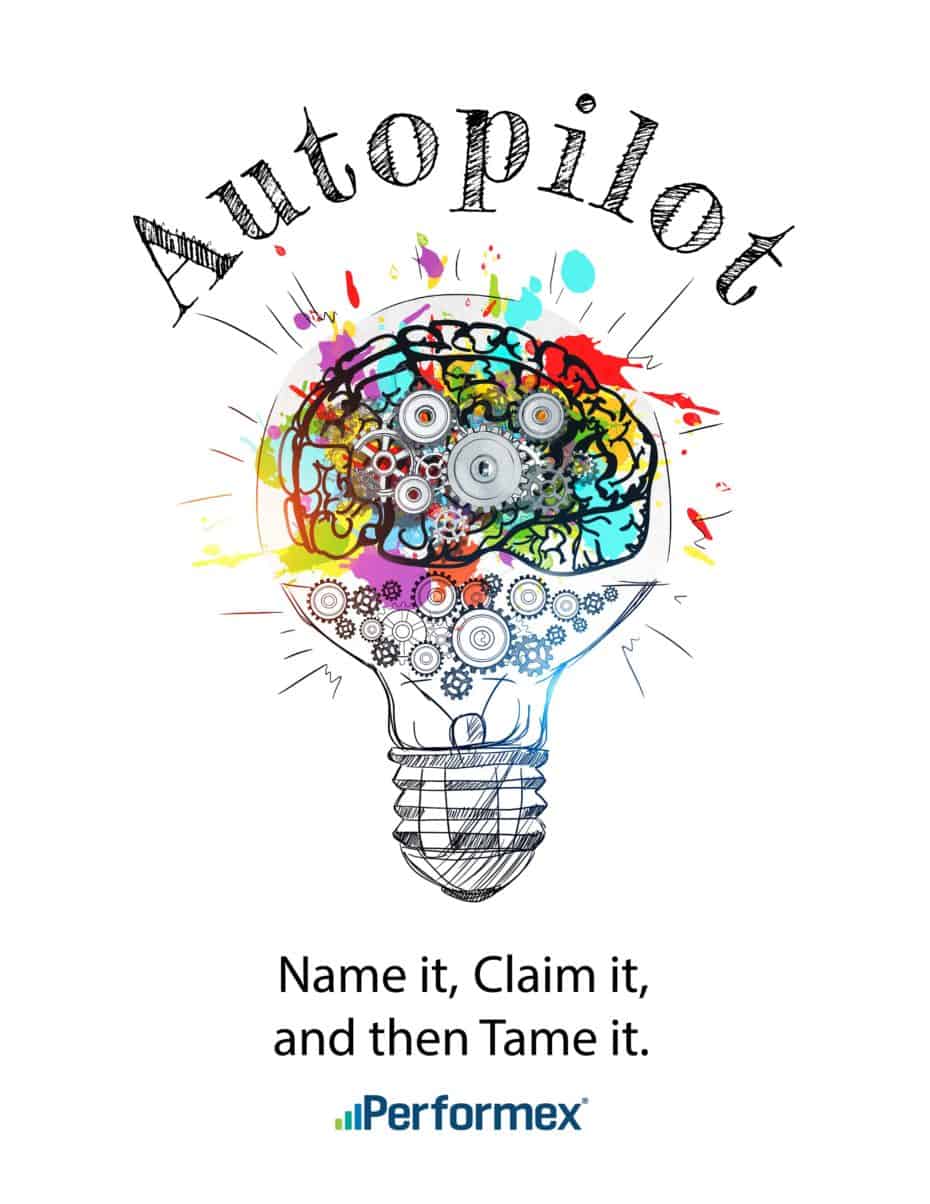 Performex Leadership Excellence Programme Logo: Autopilot